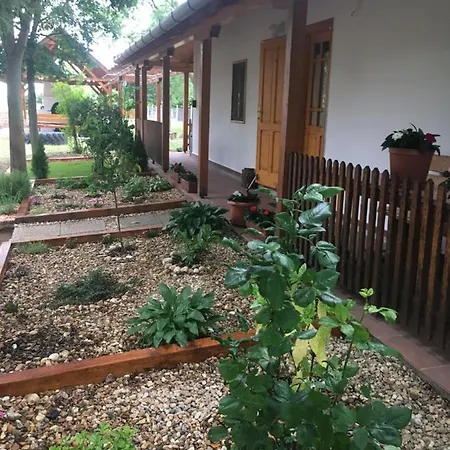 Oázis Apartman * Sarud